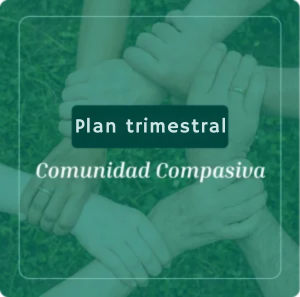 Membresia trimestral